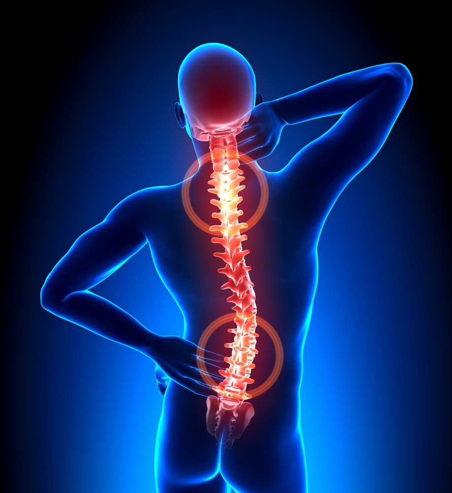 Spine,Pain,-,Male,Hurt,Backbone,-,Vertebrae,Anatomy,Concept